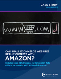ecommerce-ppc-case-study