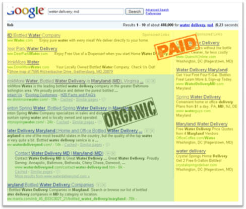 paid and organic search results