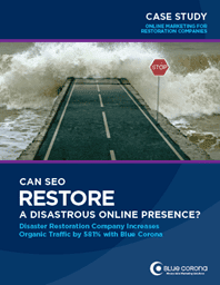 SEO online presence online restoration case study cover image