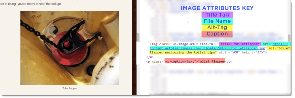 How Search Crawlers “See” Images: Alt Tags, Title Tags, and File Names