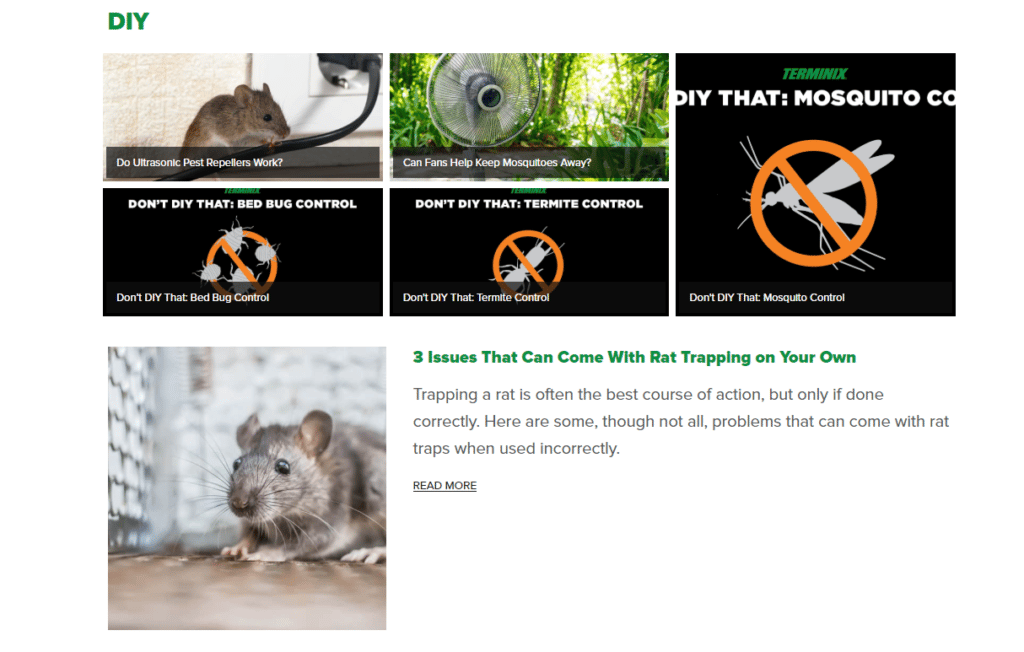 pest control marketing example for their target market