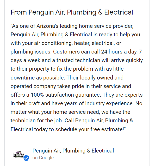 A GBP business description from Penguin Air.
